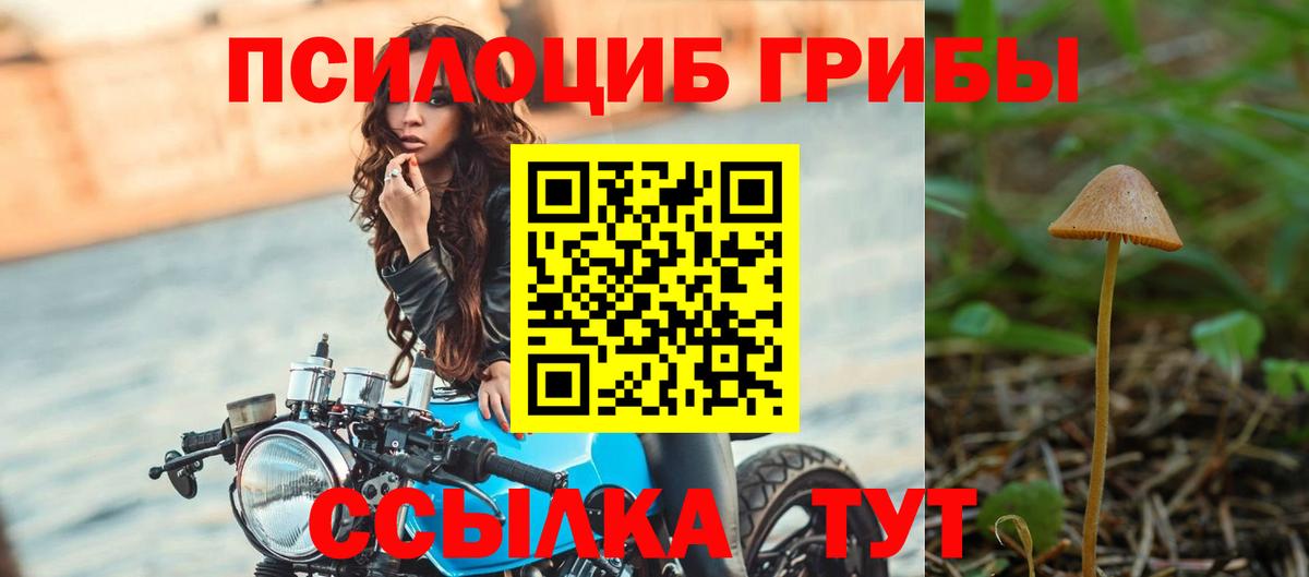 Галлюциногенные грибы MAGIC MUSHROOMS Кызыл