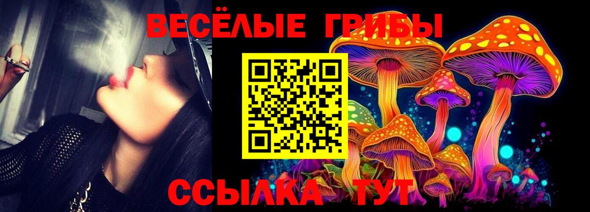 продажа наркотиков  Псилоцибиновые грибы Psilocybine cubensis  Вход с VPN  Кызыл 